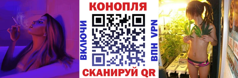 Купить  Донской  МАРИХУАНА семена 